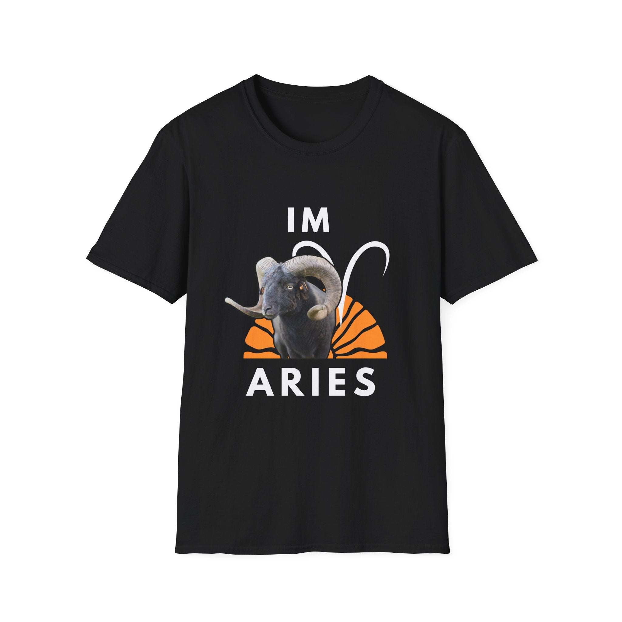 Aries Ram T-Shirt — “I’m Aries” Zodiac Tee with Pros & Cons Backprint